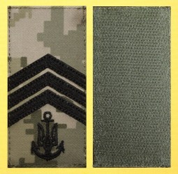 Старшина 1 статті пиксель